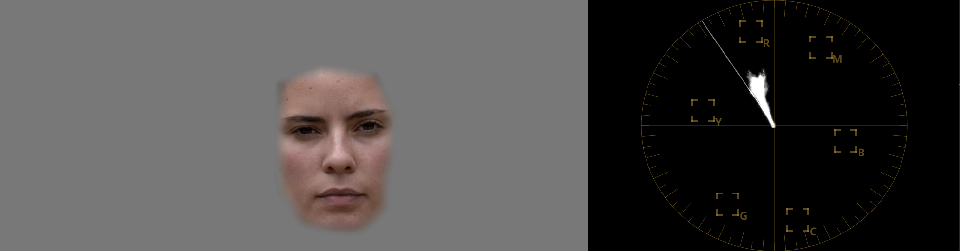 How to match cameras in post