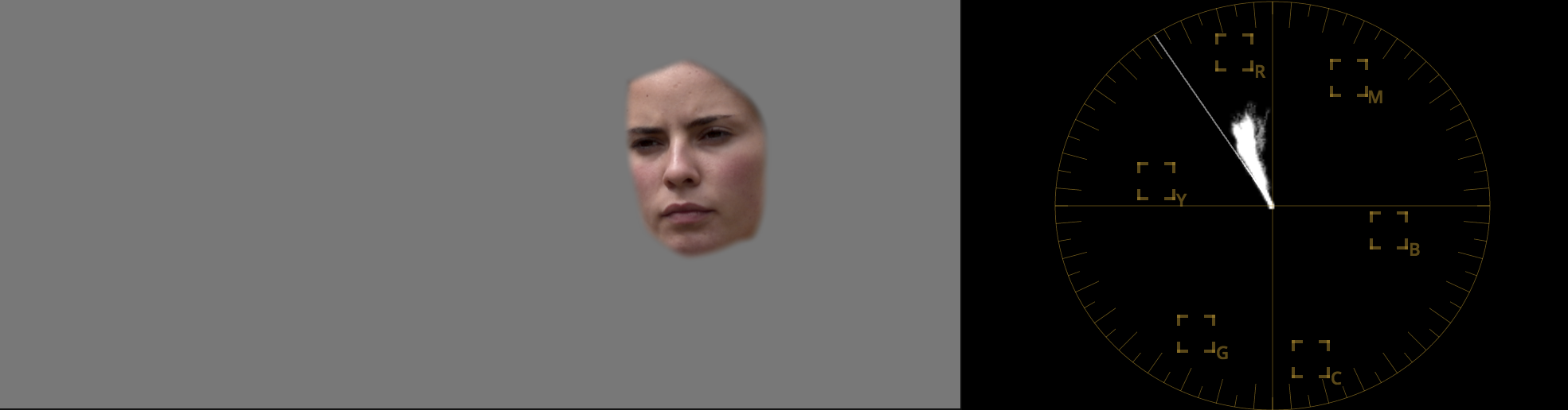 How to match cameras in post