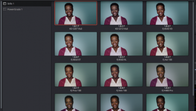 Resolve Grab Still tool